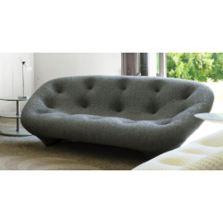 Preloved 3- seater Ploum gray sofa- Ligne Roset