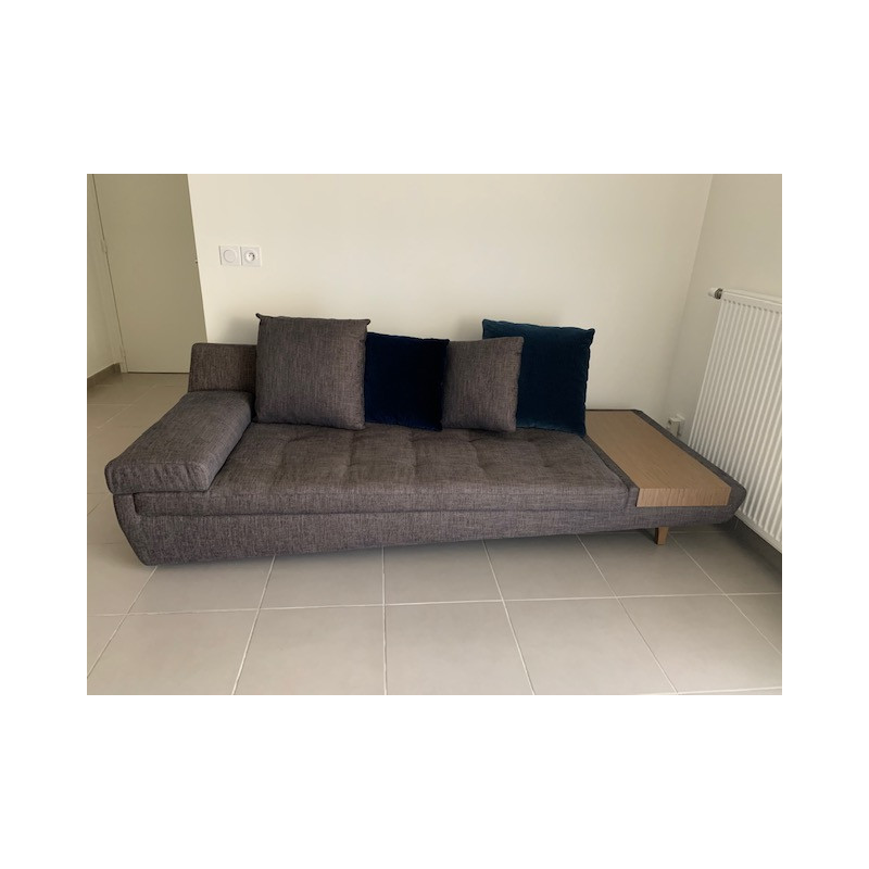 Canapé Roche Bobois