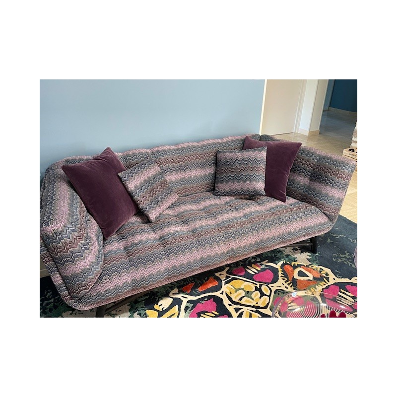 Canapé Roche Bobois
